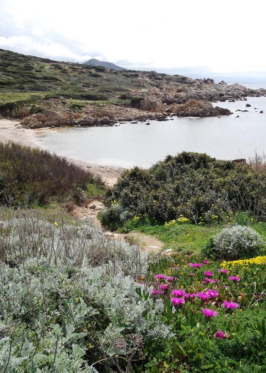 Villetta Cenni Santa Teresa Gallura Eksteriør billede